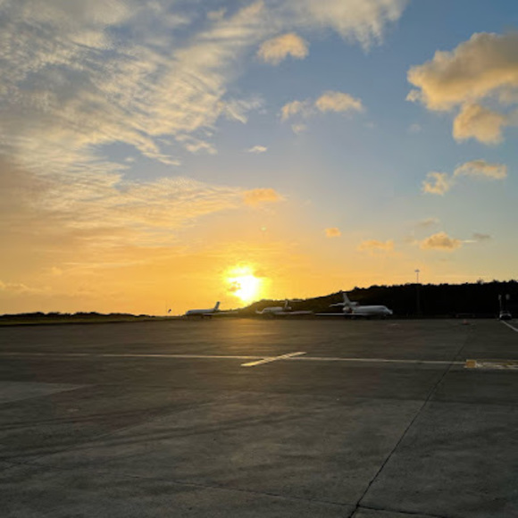 Meet your Posher, Albert - Picture 1 of 1